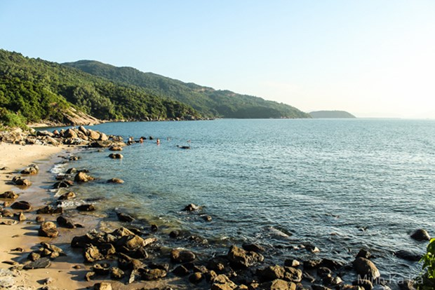 Sơn Tr&agrave; hoang sơ h&ugrave;ng vĩ