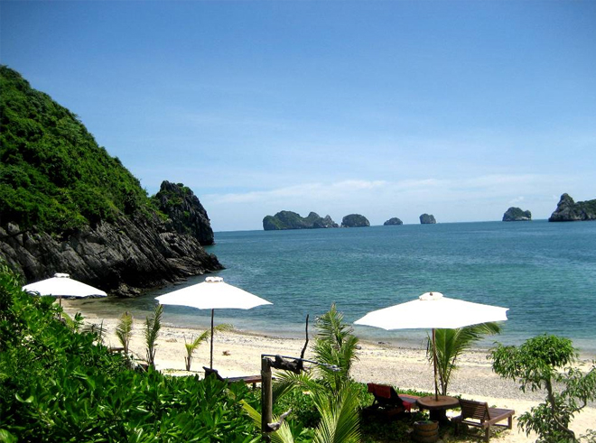 Sơn Tr&agrave; hoang sơ h&ugrave;ng vĩ