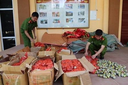 Lực lượng chức năng kiểm đếm số ph&aacute;o nổ.