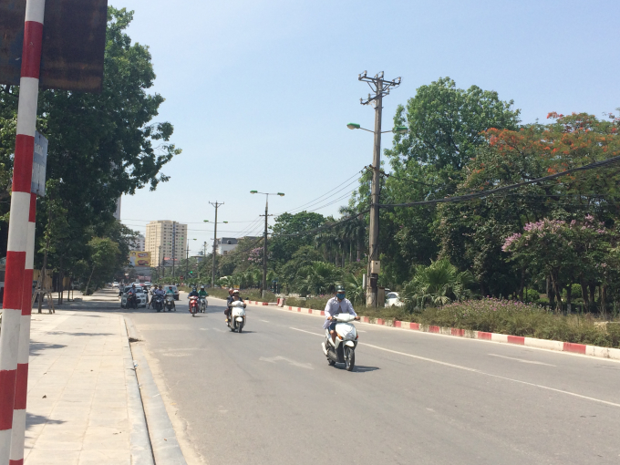 B&oacute;ng m&aacute;t của những t&aacute;n c&acirc;y rộng lu&ocirc;n l&agrave; lựa chọn y&ecirc;u th&iacute;ch cho nhiều người mỗi khi c&oacute; đ&egrave;n đỏ.