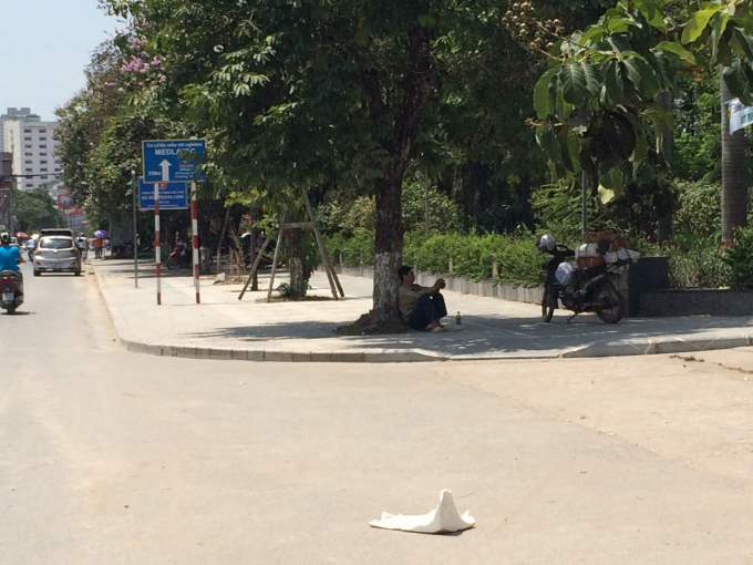 Gốc c&acirc;y to, t&aacute;n l&aacute; rộng cũng l&agrave; nơi được nhiều người chọn l&agrave;m chỗ nghỉ ngơi.