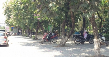 "1001" cách tránh nắng của người dân Thủ đô