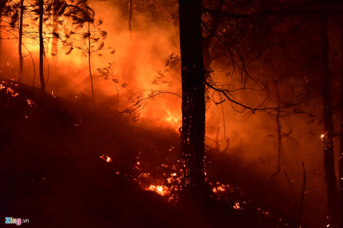 Khu vực rừng ch&aacute;y chủ yếu l&agrave; c&acirc;y th&ocirc;ng, keo, bạch đ&agrave;n. Đ&acirc;y đều l&agrave; những loại c&acirc;y dễ ch&aacute;y n&ecirc;n tốc độ l&acirc;y lan nhanh.