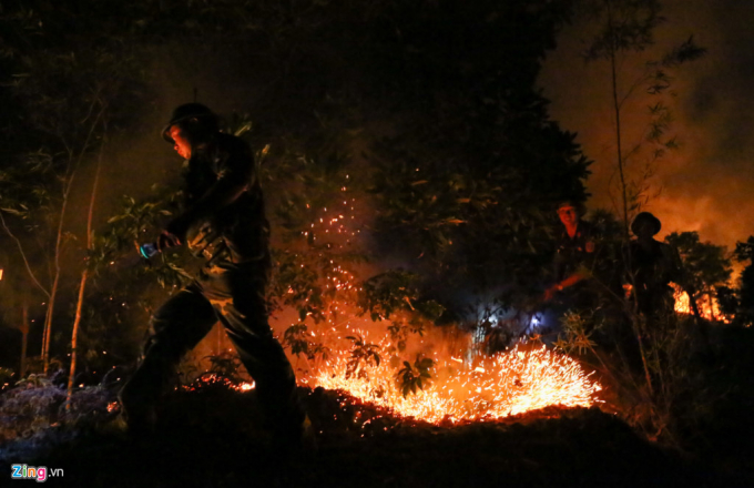 Với c&aacute;c đ&aacute;m ch&aacute;y nhỏ, lực lượng chức năng d&ugrave;ng c&acirc;y tươi để dập.