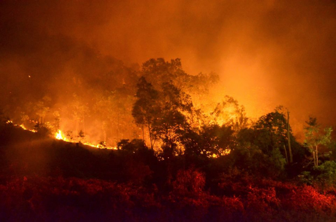 Ngọn lửa s&aacute;ng rực cả một bầu trời.