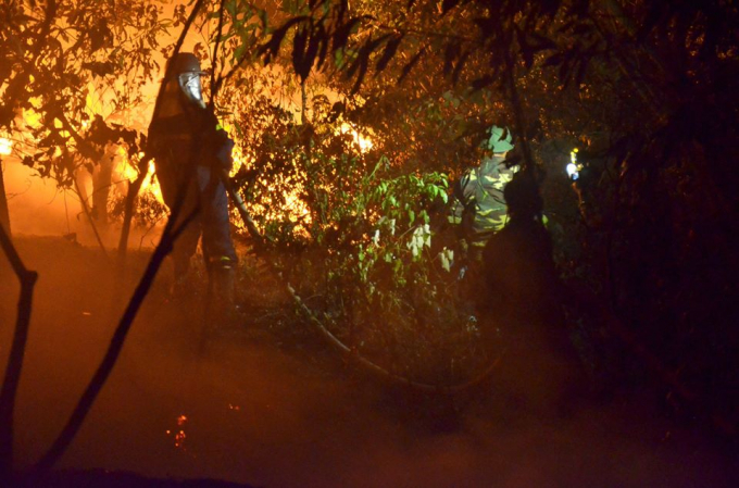 Ch&aacute;y gần 100 ha rừng, hơn 2.000 người trắng đ&ecirc;m dập lửa