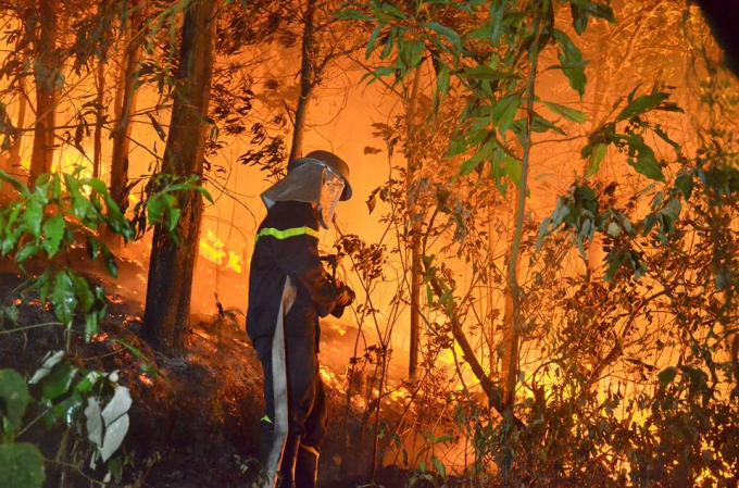 Lực lượng chức năng phải&nbsp;huy động hơn 2.000 người gồm qu&acirc;n đội, c&ocirc;ng an, d&acirc;n qu&acirc;n tự vệ v&agrave; người d&acirc;n địa phương tham gia chữa ch&aacute;y. &nbsp;