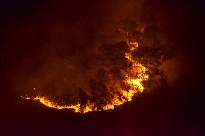 Ước t&iacute;nh tổng diện t&iacute;ch rừng bị ch&aacute;y khoảng 100 ha, bao gồm c&aacute;c loại keo, bạch đ&agrave;n v&agrave; th&ocirc;ng, trong đ&oacute; phần lớn diện tích rừng ph&ograve;ng hộ thuộc l&acirc;m trường, một phần l&agrave; của c&aacute;c hộ d&acirc;n trồng kho&aacute;n. Từ đầu năm đến nay xảy ra 7 vụ, nhưng đều l&agrave; c&aacute;c vụ ch&aacute;y nhỏ, đ&acirc;y được xem l&agrave; trận ch&aacute;y lịch sử nhất từ trước đến nay.