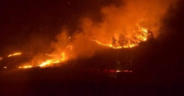 Cháy gần 100 ha rừng, hơn 2.000 người trắng đêm dập lửa