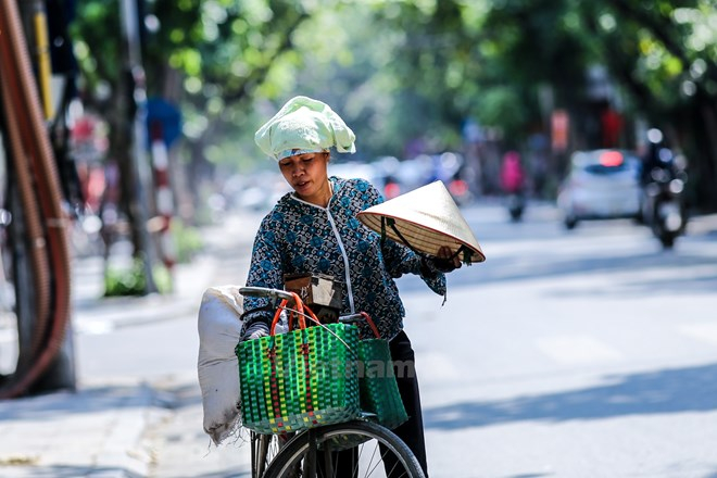 Ảnh minh họa. Nguồn: Vietnam+
