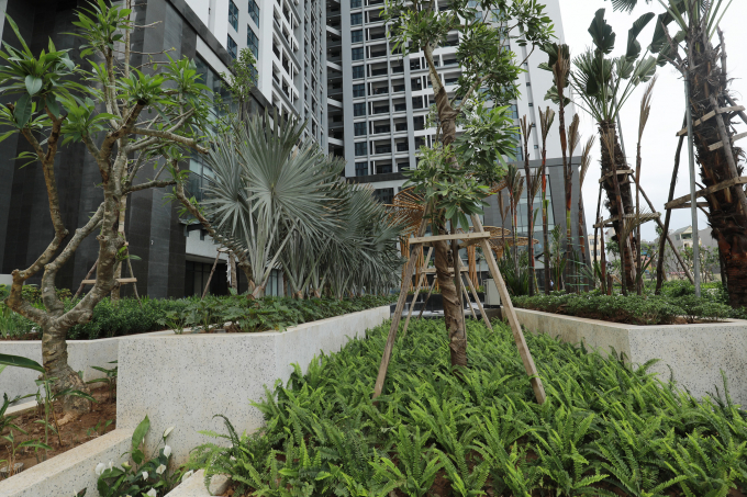 Kh&ocirc;ng gian trong khu&ocirc;n vi&ecirc;n dự &aacute;n tr&agrave;n ngập m&agrave;u xanh bởi chủ đầu tư x&acirc;y dựng với mật độ chỉ hơn 23% v&agrave; d&agrave;nh hơn 155 tỷ đồng cho ri&ecirc;ng hạng mục cảnh quan, c&acirc;y xanh.