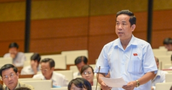 Rừng sắp hết, biển gần chết khiến dân bất an