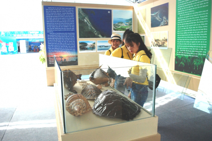 Một số hiện vật được trưng b&agrave;y tại triển l&atilde;m.