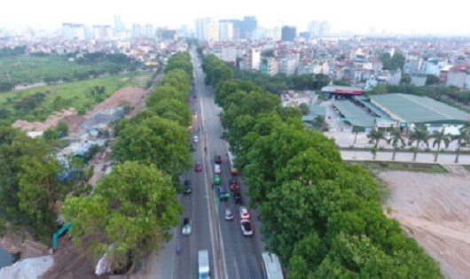 Khi c&acirc;y h&oacute;a t&acirc;m hồn