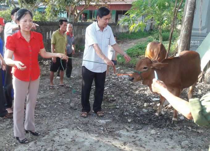 B&aacute;c Trịnh Thị Nguyệt - Chủ tịch Hội Chữ thập đỏ huyện Quảng Xương tỉnh Thanh H&oacute;a trao tặng b&ograve; cho c&aacute;c hộ d&acirc;n ngh&egrave;o x&atilde; Quảng T&acirc;n.&nbsp;