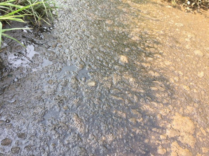 Nguồn nước &ocirc; nhiễm, nổi bọt m&agrave;u v&agrave;ng đục được PV chụp tại bến đ&ograve; Vạn Ph&uacute;c.