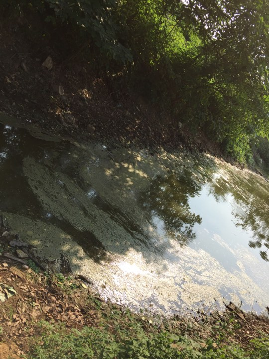 Một con mương nước thải nằm gần UBND x&atilde; v&agrave; trường học.