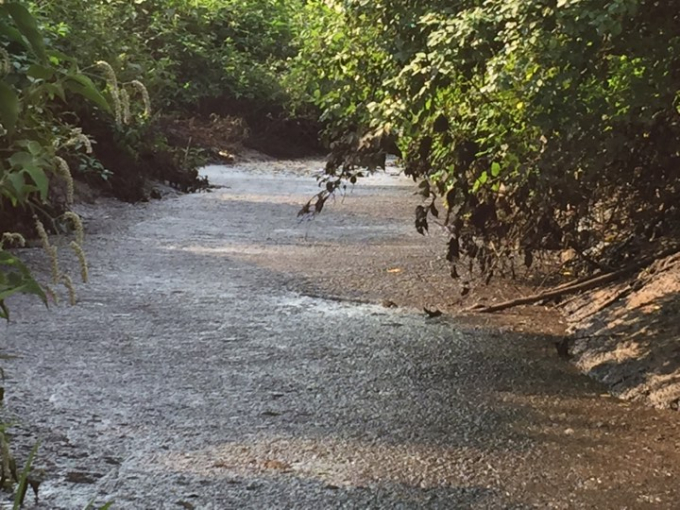 nước thải &ocirc; nhiễm m&ocirc;i trường trầm trọng