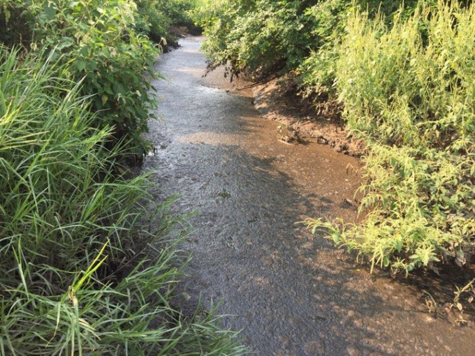 Nước thải từ l&ograve; mổ đổ ra bến đ&ograve; Vạn Ph&uacute;c.