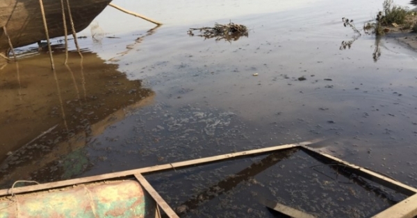 Dòng nước đen, hôi thối và sự "bình an" của lò mổ ở Vạn Phúc, Thanh Trì