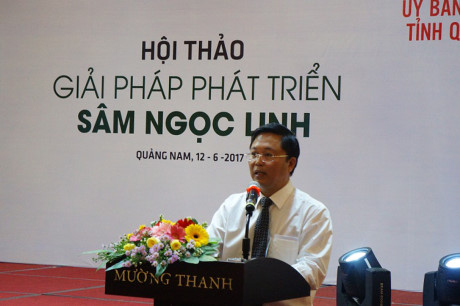&Ocirc;ng L&ecirc; Tr&iacute; Thanh - Ph&oacute; Chủ tịch UBND tỉnh Quảng Nam ph&aacute;t biểu tại Hội thảo. Ảnh: Trương Hồng