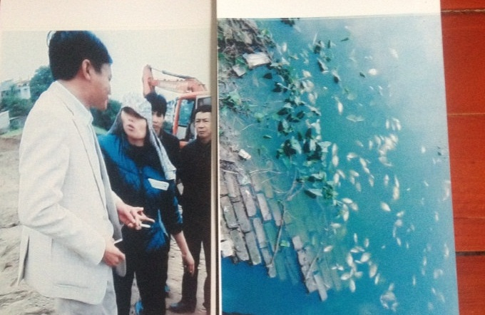 Việc x&atilde; Lạc Hồng cho Cty Th&agrave;nh Đạt đổ đất lấp ao Đo&agrave;i đ&atilde; l&agrave;m chết h&agrave;ng tấn c&aacute; của &ocirc;ng M&acirc;y. (Ảnh gia đ&igrave;nh cung cấp)