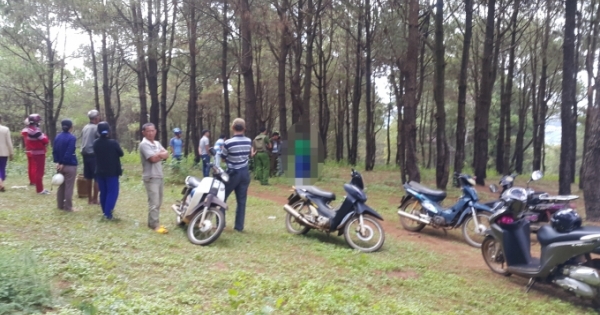 Gia Lai: Phát hiện người đàn ông chết trong tư thế treo cổ trên đồi thông