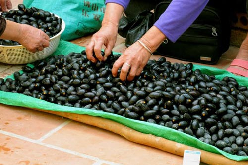 Khi đến m&ugrave;a, quả tr&aacute;m đen được b&agrave;y b&aacute;n nhiều ở chợ.