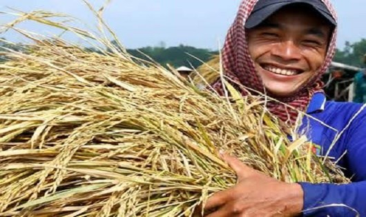 T&igrave;m &ldquo;đầu ra&rdquo; ổn định cho n&ocirc;ng sản sẽ gi&uacute;p người n&ocirc;ng d&acirc;n nỗ lực hơn với đồng ruộng.