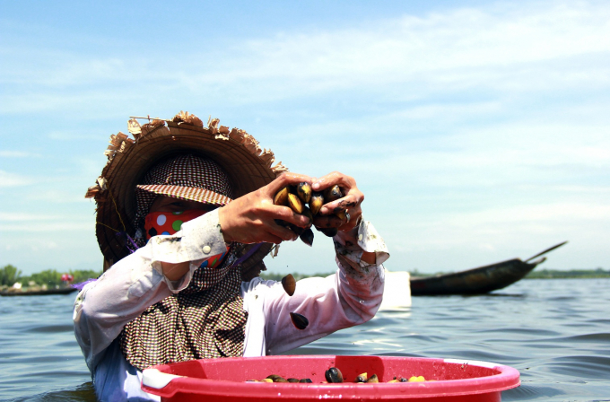 &nbsp;Mỗi ng&agrave;y họ phải ng&acirc;m m&igrave;nh v&agrave;i giờ đồng hồ để c&oacute; thể kiếm được khoảng 50 c&acirc;n tr&igrave;a.