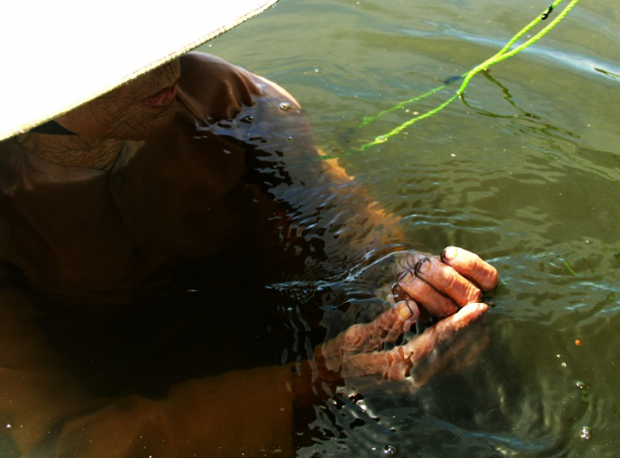 &nbsp;Đ&ocirc;i b&agrave;n tay của những người phụ nữ đ&atilde; chai sạn v&igrave; tiếp x&uacute;c với b&ugrave;n, với nước nhiều năm.