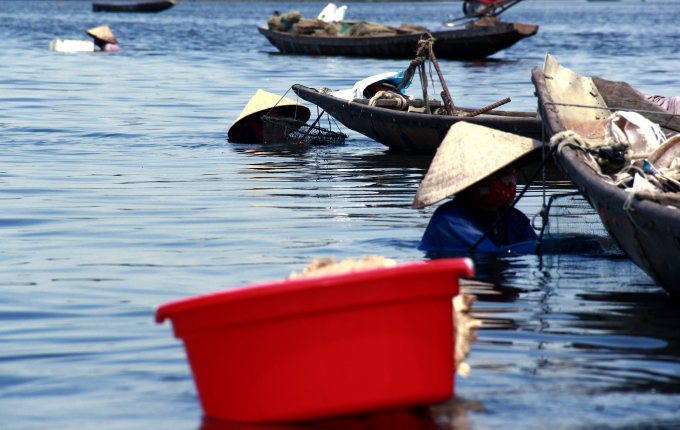 Những &ldquo;th&acirc;n c&ograve;&rdquo; mưu sinh tr&ecirc;n ph&aacute; Tam Giang
