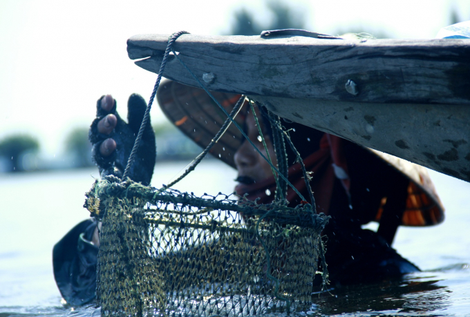 Những &ldquo;th&acirc;n c&ograve;&rdquo; mưu sinh tr&ecirc;n ph&aacute; Tam Giang