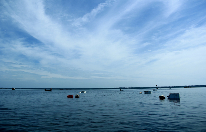 Ph&aacute; Tam Giang l&agrave; nơi mưu sinh của h&agrave;ng chục người phụ nữ ngh&egrave;o nhiều năm nay.