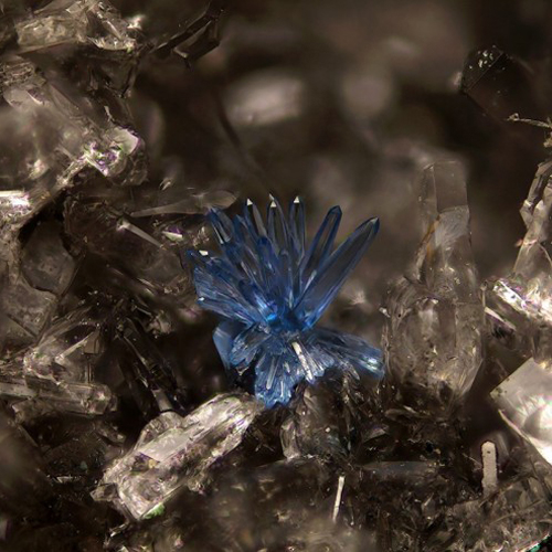 10 loại đ&aacute; qu&yacute; đắt nhất thế giới