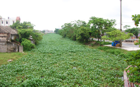 Đoạn s&ocirc;ng nơi ph&aacute;t hiện thi thể của nạn nh&acirc;n xấu số