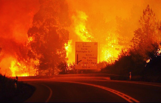 Quan chức của Bộ nội vụ Bồ Đ&agrave;o Nha Jorge Gomes khẳng định đ&atilde; c&oacute; &iacute;t nhất 57 người thiệt mạng, 59 người bị thương. Nhiều người đ&atilde; bỏ mạng khi kẹt lại trong xe, trong khi số kh&aacute;c chết ngạt v&igrave; kh&oacute;i. ( Ảnh: Instagram)