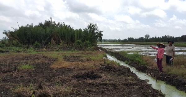 Hậu Giang: Nông dân mù chữ xin cứu xét kháng cáo quá hạn