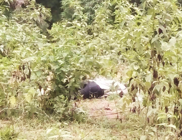 Hiện trường nơi ph&aacute;t hiện thi thể anh V.