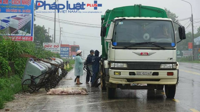 C&ocirc;ng nh&acirc;n dịch vụ m&ocirc;i trường đang tiến h&agrave;nh gắp r&aacute;c. (Ảnh: Tiến Vũ)