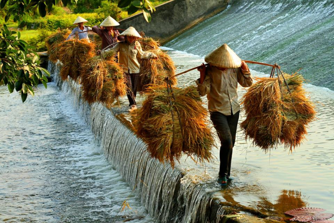 Đường về - Ảnh: Ng&ocirc; Văn Nhung