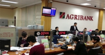 Thu nhập trên “nghìn đô” mỗi tháng của nhân viên Agribank