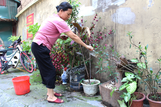 H&agrave;ng ng&agrave;y người d&acirc;n sinh sống cạnh đ&acirc;y vẫn mang nước ra tưới v&agrave; chăm s&oacute;c khiến c&acirc;y cối trở n&ecirc;n tươi tắn v&agrave; sống tốt hơn.