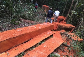 Theo chân dân buôn, vào 