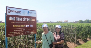 Giải mã viên uống hỗ trợ điều trị tiểu đường Diabetna