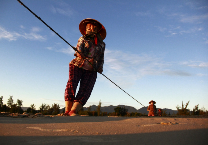 Nghề n&agrave;y d&acirc;n địa phương gọi l&agrave; 'k&eacute;o r&ugrave;ng'. Nếu may mắn, mỗi buổi s&aacute;ng từ 4h tới 8h, họ c&oacute; thể kiếm được v&agrave;i trăm ngh&igrave;n, những ng&agrave;y biển động hoặc do 'xui' th&igrave; &iacute;t hơn.