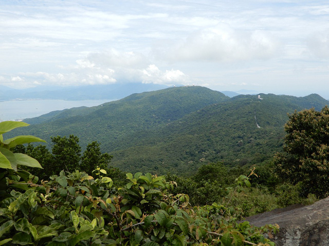 B&aacute;n đảo Sơn Tr&agrave;