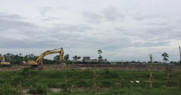 Hà Nội: Đất trồng lúa “biến” thành ao, hồ nuôi cá?