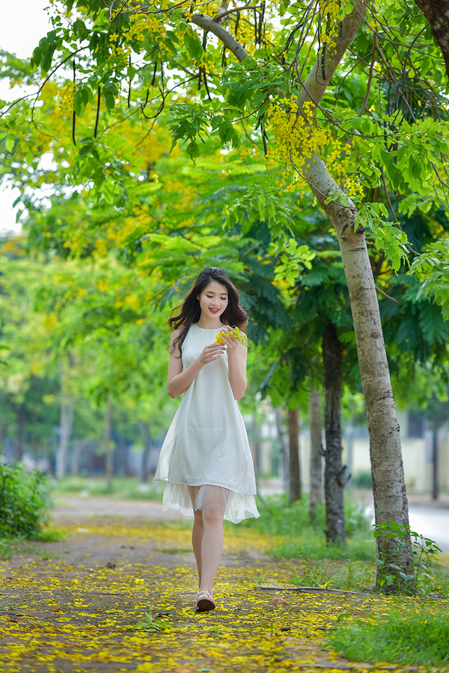 Lần n&agrave;y gh&eacute; thăm H&agrave; Nội, Huyền Trang quyết định chụp một bộ ảnh với lo&agrave;i hoa đặc biệt ở Thu đ&ocirc; l&agrave; muồng ho&agrave;ng yến.