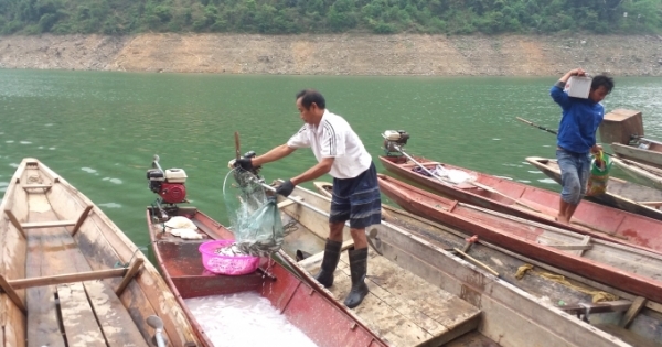 Nghệ An: Cuộc sống “khổ sở” của người dân tái định cư Thủy điện Bản Vẽ